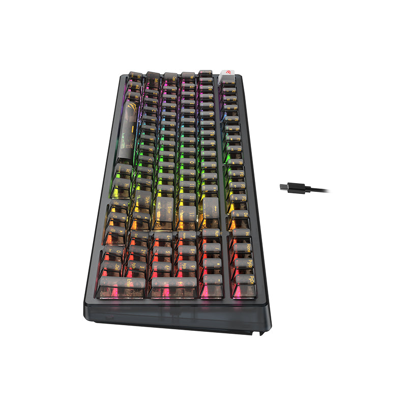 HAVIT KB875L RGB Backlit Mechanical Keyboard